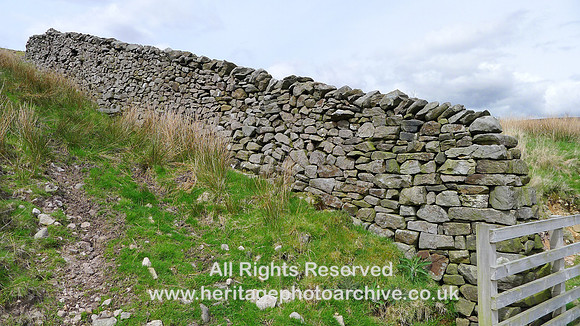 HRS 9274 Dunsop Valley, Dry stone wall Whitendale L1170434