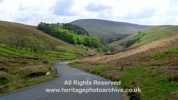 HRS 9316 Trough of Bowland, looking towards Sykes L1170445