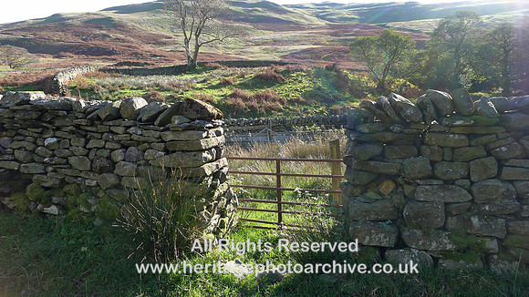 HRS 9857 Barbondale, sheep wash pen gate L1180711