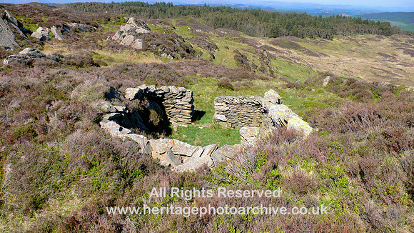 HRS 9347 Arnsbarrow Hill, sheep fold L1140693