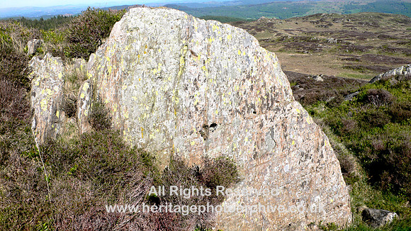 HRS 9352 Arnsbarrow Hill, Silurian banded turbidites with concretions
