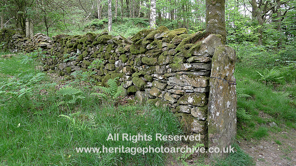 HRS 9380 Finsthwaite, allotment wall and gate stoop L1170529