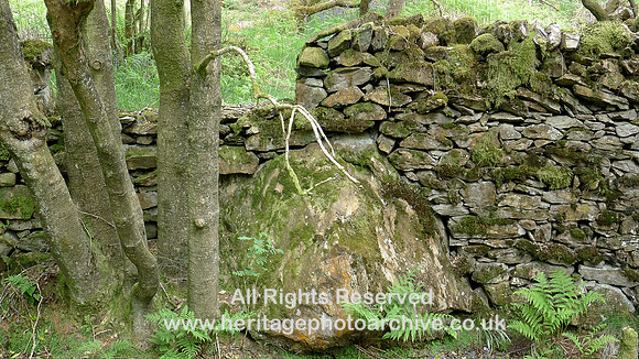 HRS 9382 Finsthwaite, Allotment wall section and boulder SD 361885 L1170531