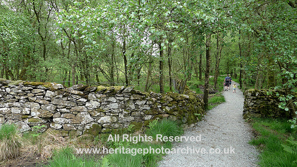 HRS 9384 Finsthwaite, Allotment wall SD 362889 L1170534