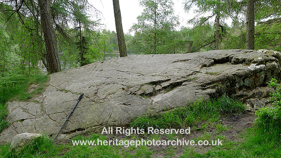 HRS 9385 Finsthwaite, High Dam Tarn, glaciated rock surface L1170538