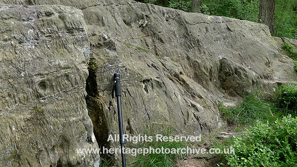 HRS 9386 Finsthwaite, High Dam Tarn , Silurian turbidites and concretions L1170541