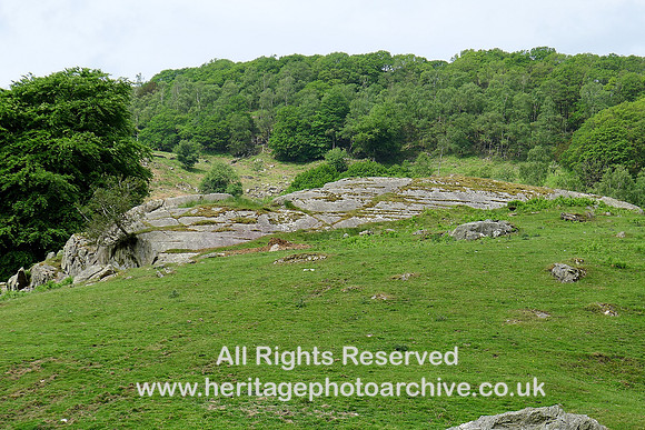 HRS 9378 Finsthwaite, glacially smoothed rock outcrop L1170527