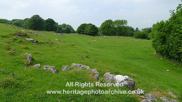HRS 9389 Little Urswick Crags, NE corner walling L1170545