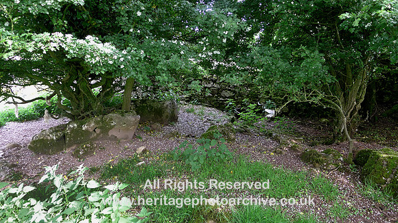 HRS 9388 Little Urswick Crags, SW of site dry stone stock pen L1170553
