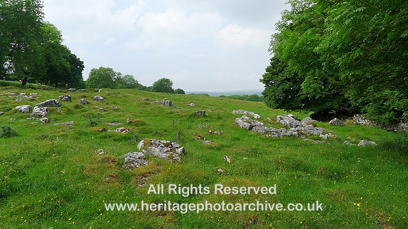 HRS 9392 Little Urswick Crags, view NNW across farmstead site L1170548