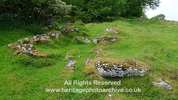 HRS 9393 Little Urswick Crags, view NNW stock enclosure relaid limestone L1170550