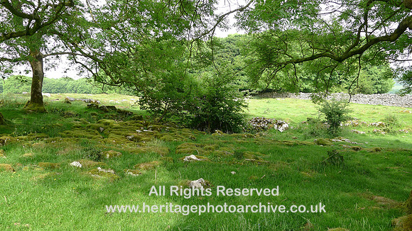 HRS 9398 Little Urswick Crags, view SE bottom of site L1170555