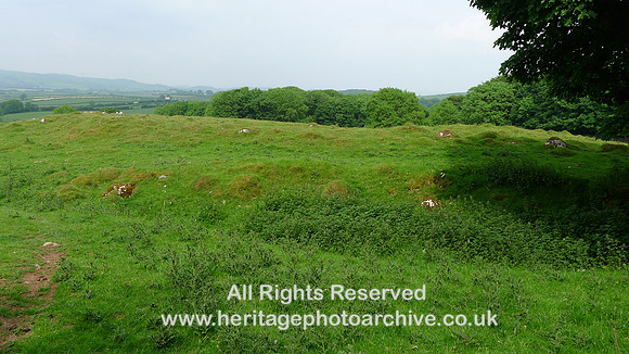 HRS 9400 Little Urswick Crags, View to N across main site area L1170560