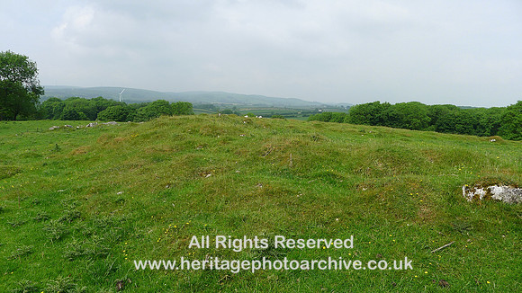 HRS 9401 Little Urswick Crags, View to N across end of raised area L1170562