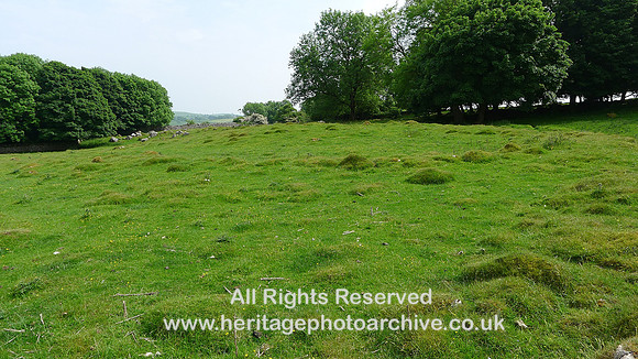 HRS 9404 Little Urswick Crags, View across site to SE L1170566