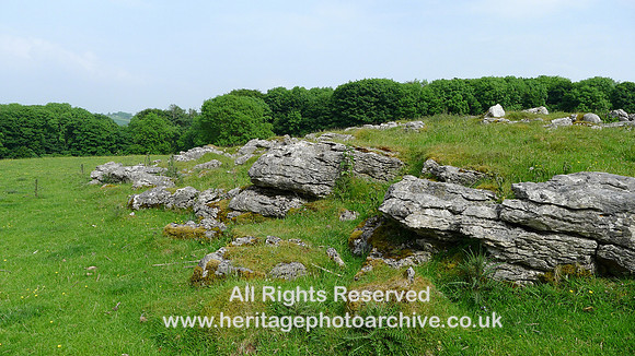 HRS 9405 Little Urswick Crags, Limestone escarpment and homestead wall above L1170567