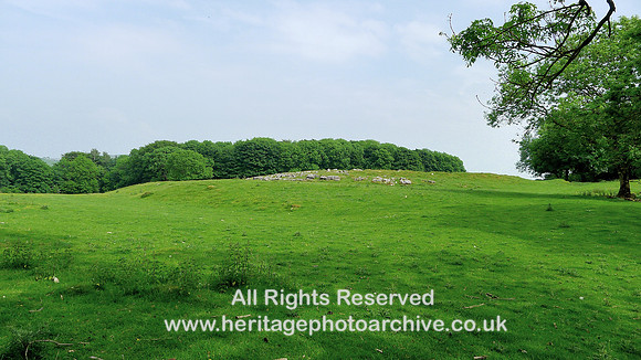 HRS 9408 Little Urswick Crags, raised area view from a distance L1170570