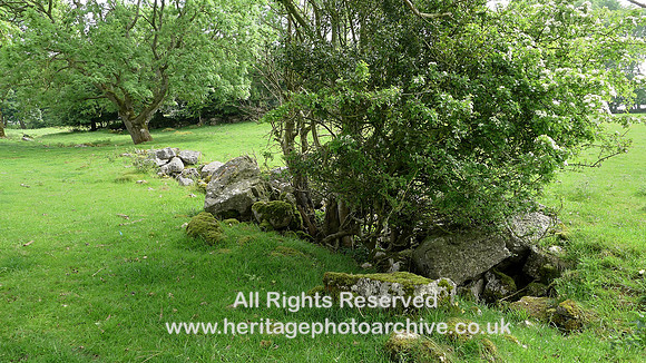 HRS 9410 Little Urswick Crags, remains of dry stone boulder field wall L1170573