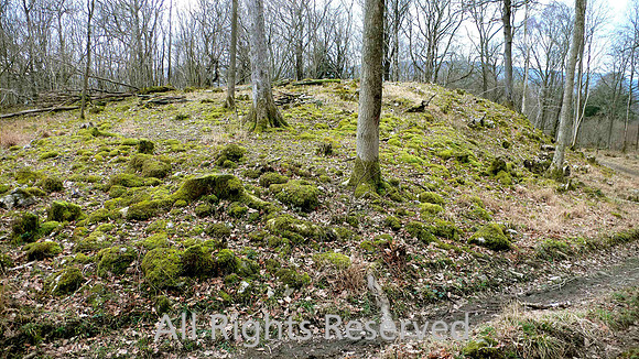HRS 1816  Roche moutonee Whitbarrow west side