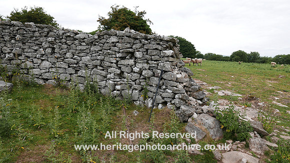 HRS 9435 Little Urswick, dry stone walling SD26280 73962 L7720183