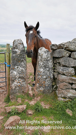 HRS 9446 Little Urswick, stone stoops used as a stile SD25921 73946 L7720201