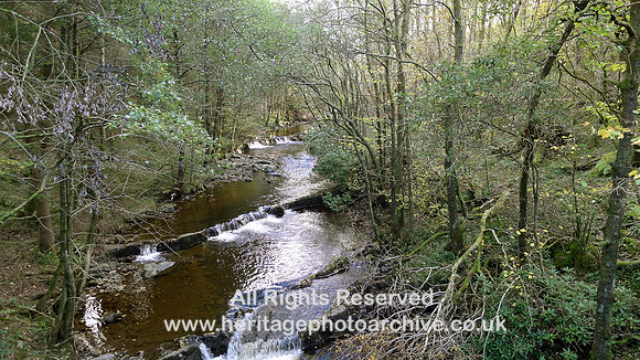 HRS 9854 Barbondale, river L1180692
