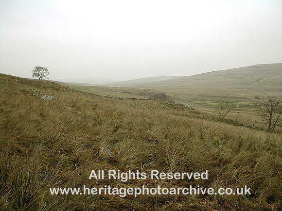 HRS 5123 Ty Nant area nr Llyn Celyn 2010