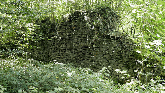 HRS 9534 Haverthwaite, Low Wood gunpowder works, dry stone wall L7720421