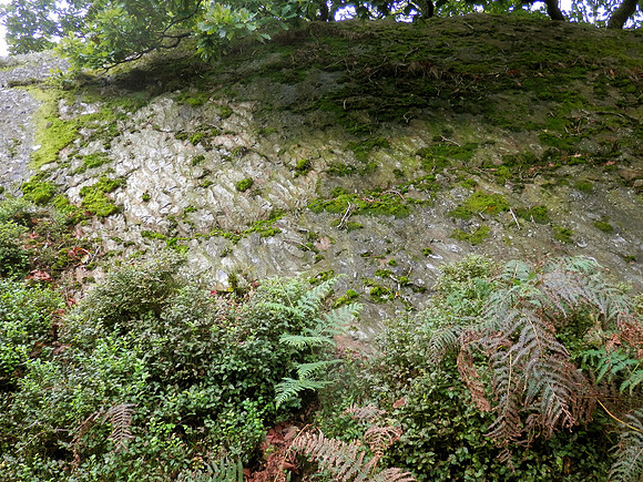 Great Ellerside, Silurian turbidites