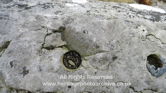 HRS 9662 Crosthwaite Corn Mill, coral in limestone lintel L1180351 corrected