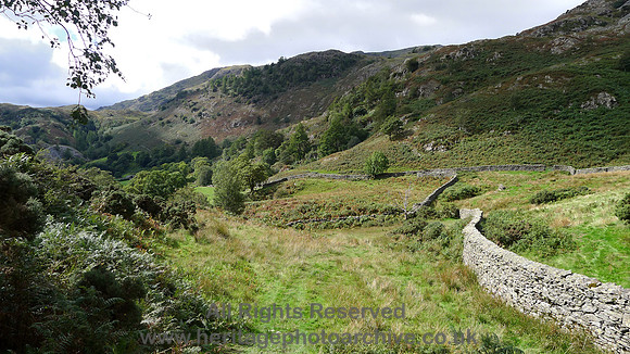 HRS 9672 High Tilberthwaite, above farm L1180403