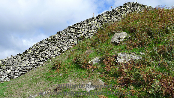 HRS 9673 High Tilberthwaite, dry stone wall up hillside L1180412