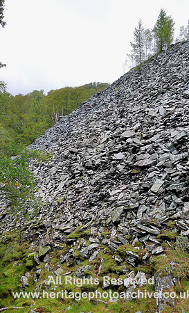HRS 9687 Little Langdale, 100 ft slate tip in forest L1180474
