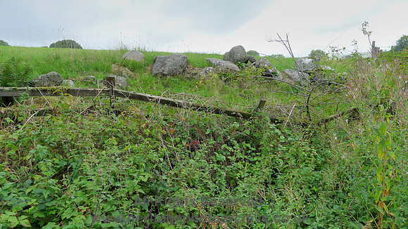 HRS 9696 Wycoller, remains of orthostats at SD 93153911 L1180494