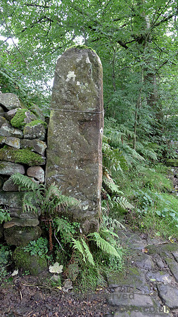 HRS 9707 Wycoller, clapper bridge gate stoop SD93373903 L1180511