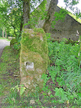 HRS 9710 Wycoller, Gate stoop L1180513