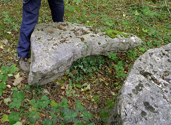 HRS 9723 Whitbarrow, The Howe, millstone from Gillbirks Quarry showing cut piece L1180528
