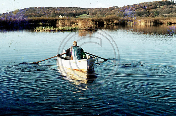 Rowing on Leighton Moss