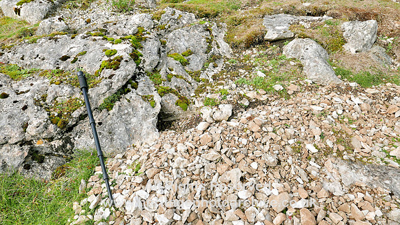HRS 9766 Hampsfell, Cockle Wood, Urswick limestone scapplins SD 40257 79062  L7720799