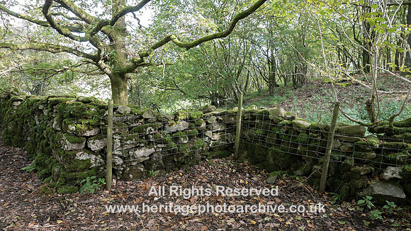HRS 9770 Hampsfell, Cockle Wood entrance area SD 40221 78977 L7720804