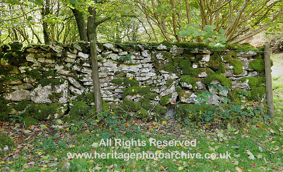 HRS 9771 Hampsfell, Cockle Wood, old entrance gate SD 40221 78977 L7720806