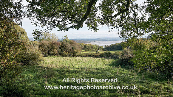 HRS 9774 Hampsfell, Cockle Wood, View towards Arnside SD 40123 78791 L7720815