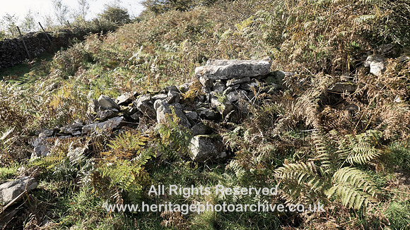 HRS 9775 Hampsfell, Cockle Wood, old dry stone wall SD40117886 L7720819