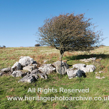 HRS 9777 Hampsfell, near Cockle Wood, glacial erratic and boulders SD39986 78932 L7720824