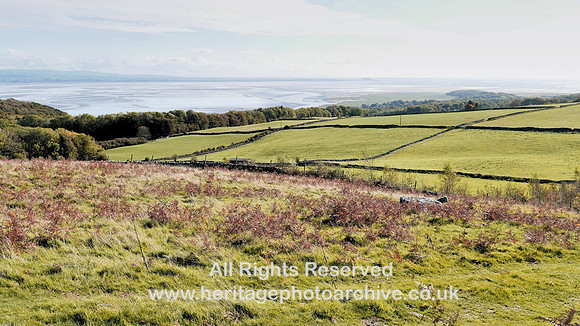 HRS 9780 Hampsfell, near Cockle Wood, showing enclosure walls SD 3994 7861 L7720831