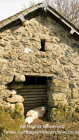 HRS 43 Bala, barn near Plas Morgan