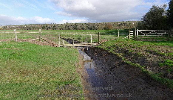 HRS 9803 Rougholme, dyke and gate L1180668