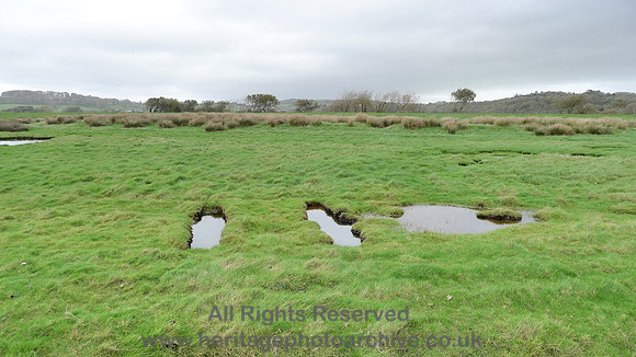 HRS 9813 Rougholme, rifle range firing end pits L1180680