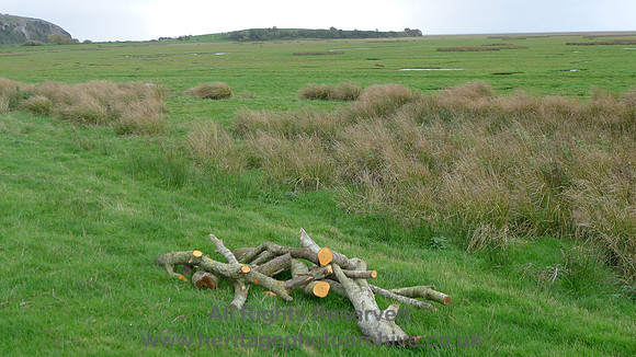 HRS 9814A Rougholme, rifle range firing end position at logs L1180683