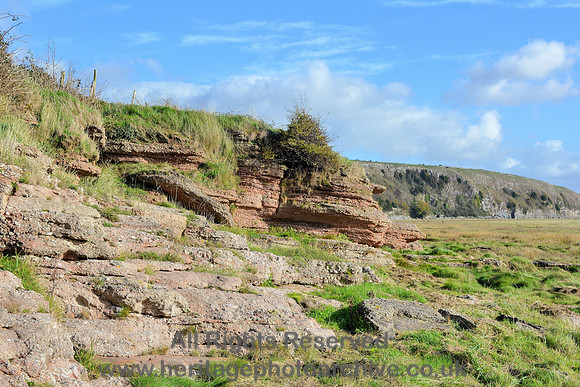 HRS 9797 Rougholme, brockrams looking towards Humphrey Head DSC_0059